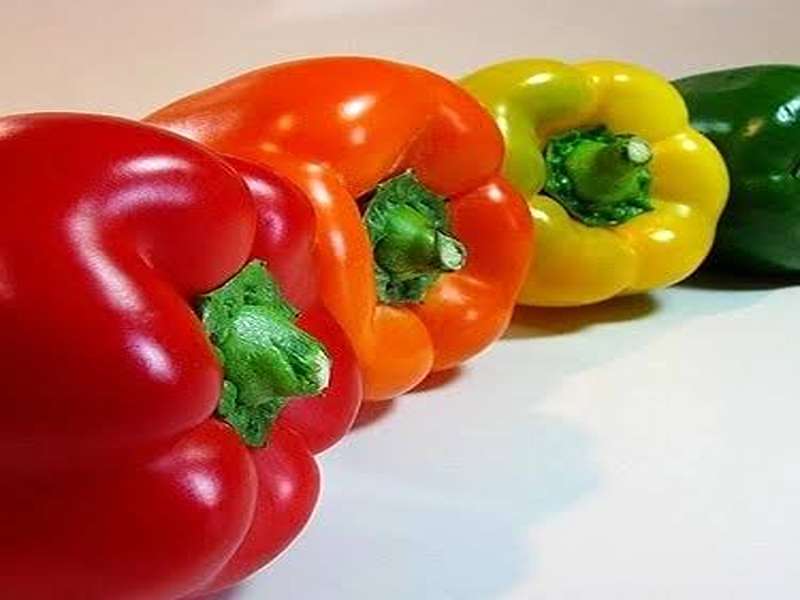 تصویر 3 از فلفل دلمه گلخانه ای تازه با ماندگاری مناسب و ظاهر بازار پسند